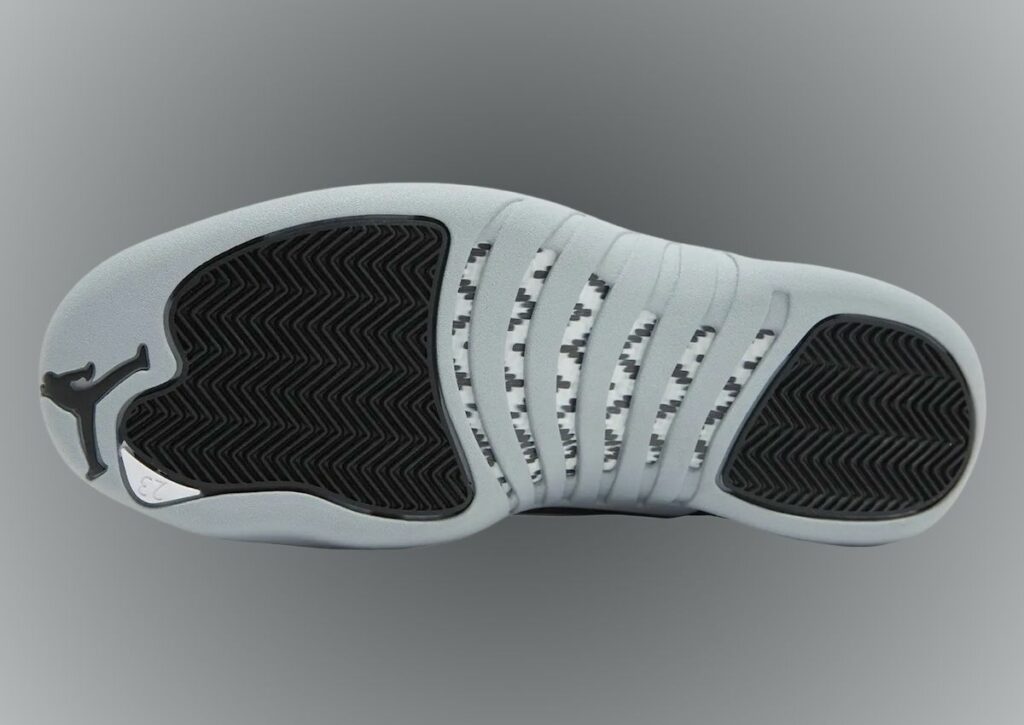Air Jordan 12 Black Wolf Grey CT8013-010 Release Info