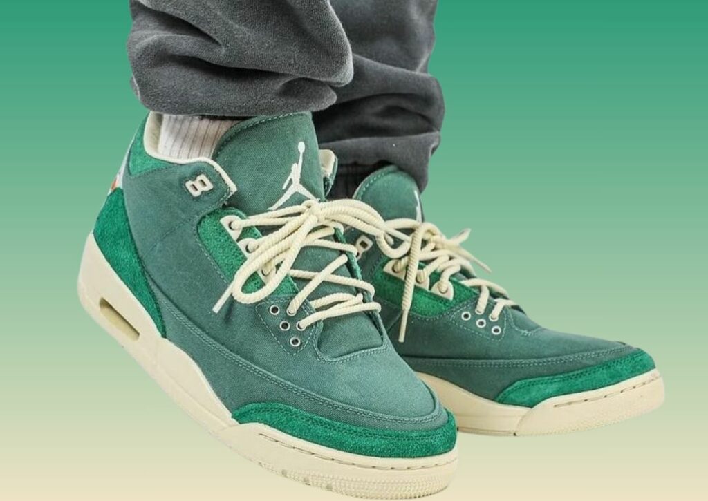 Nina Chanel Abney Air Jordan 3 FZ7974-300 On-Feet